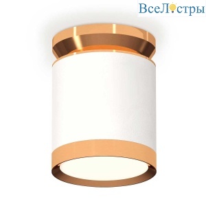 Комплект накладного светильника Ambrella light Techno Spot XS (N8909, C8141, N8124) XS8141030