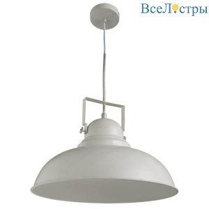 Подвесной светильник Arte Lamp Martin A5213SP-1WG