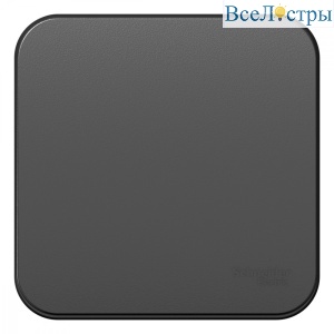 Выключатель 1-клавишный 10А 250B изолир. Пластина Systeme Electric Blanca наруж Антрацит BLNVA101016