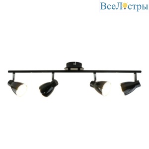 Светодиодный спот Arte Lamp Gioved A6008PL-4BK