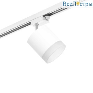 Трековый светильник Lightstar Rullo (213486+592086+202480) R1T348680