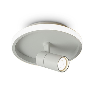 Потолочный светильник Freya Neo FR6040CL-L14W