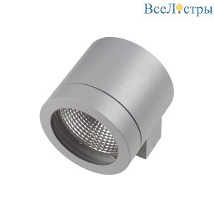 Накладной светильник Lightstar Paro 350619