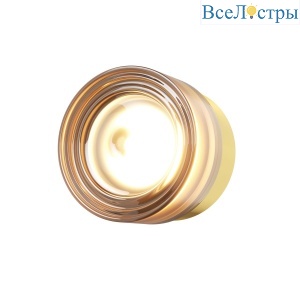 Настенный светильник Maytoni Olo MOD493WL-L6BSK2