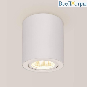 Потолочный светильник Citilux Дюрен CL538111