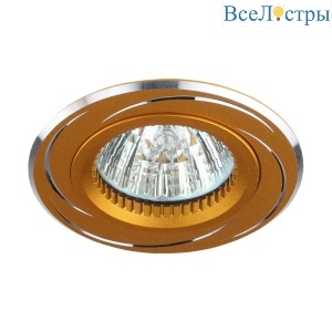 Встраиваемый светильник ЭРА KL34 AL/GD C0043821