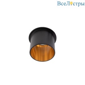 Встраиваемый светильник Loft IT Limit 10343/B Black Gold