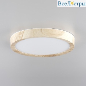 Потолочный светильник Citilux Бейсик CL738122N