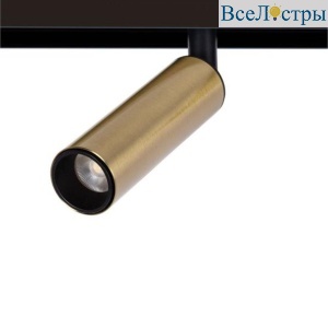 Трековый светодиодный светильник Arte Lamp Linea A4660PL-1AB