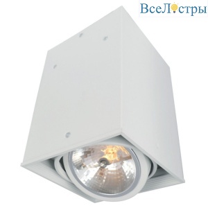 Потолочный светильник Arte Lamp Cardani A5936PL-1WH