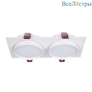 Встраиваемый светильник Favourite Vasto 4649-2C