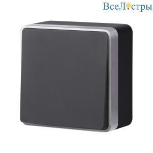 Выключатель одноклавишный проходной Werkel Gallant (черный с серебром) W5012034 4690389164095 a051164