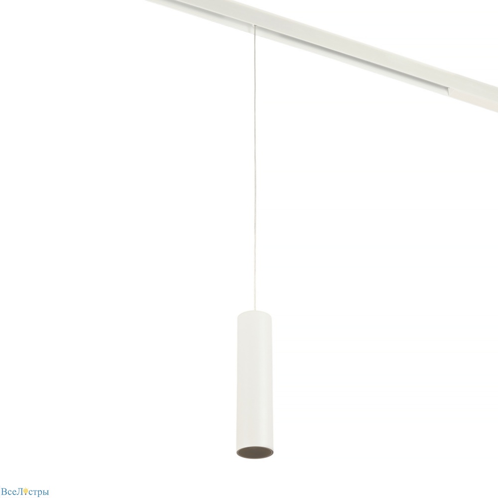 трековый магнитный светильник myfar ray mt0221-20w3k-s-w