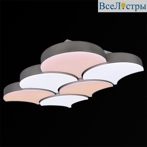 Потолочная люстра Reluce 01218-0.3-06LED