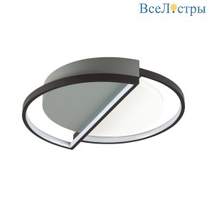 Потолочный светодиодный светильник Lumion Ledio Taro 5240/64CL