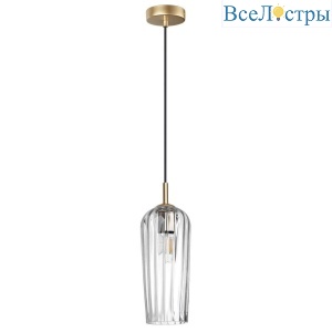 Подвесной светильник Lumion Suspentioni Ellie 6551/1B