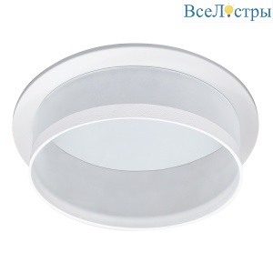 Встраиваемый светильник Feron DL700 51093