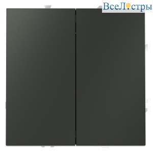 Выключатель с самовозвратом двухклавишный Voltum S70 VLS020606