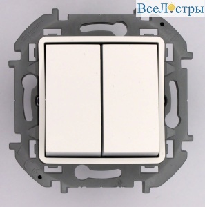 Переключатель двухклавишный Legrand Inspiria 673655