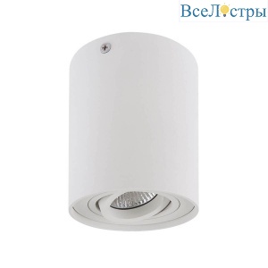 Потолочный светильник Lightstar Binoco 052016