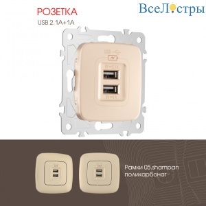Розетка USB 2.1А+1А Arte Milano 205.46-1.shampan