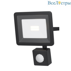 Прожектор светодиодный Maytoni Flood 10W 4000K FL001-L10B4KSR