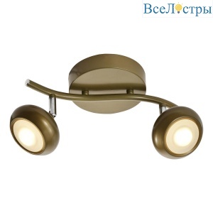 Светодиодный спот Toplight Carissa TL1244Y-02SG