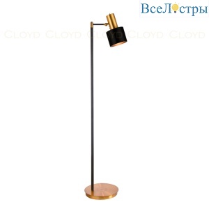 Торшер Cloyd Rincon 40016