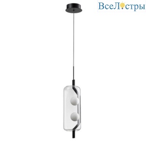 Подвесной светодиодный светильник Arte Lamp Geneva A2341SP-2BK