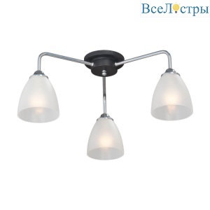 Потолочная люстра Vitaluce V4500-9/3PL