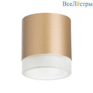 Потолочный светильник Lightstar Rullo (213490+202480) R349080