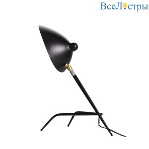 Настольная лампа ST-Luce SL305.404.01