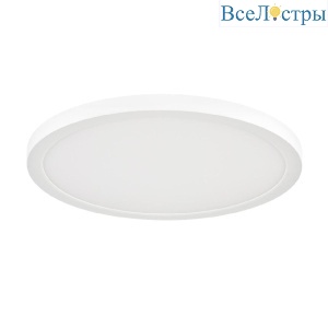 Потолочный светильник Sonex Nebula 7754/24L