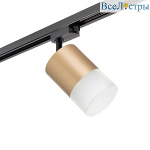 Трековый светильник Lightstar Rullo (213490+592087+202481) R1T349081