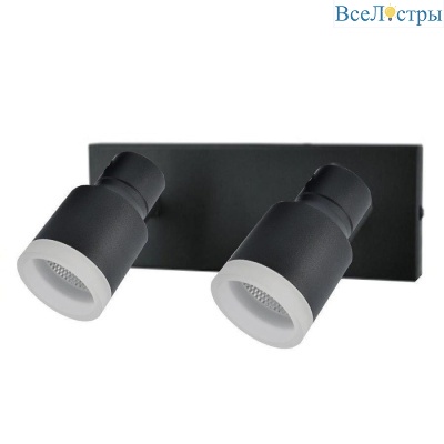 Светодиодный спот Elvan NLS-1202/2x5W-NH-BK