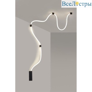 Настенно-потолочный светильник Aployt Sindrillon APL.773.02.78