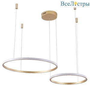 Подвесная люстра Zortes Ringolight ZRS.33320.63F