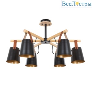 Люстра на штанге Arte Lamp Thomas A7032PL-6BK