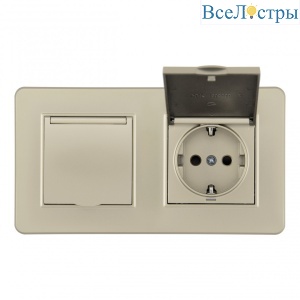 Розетка двойная (двухпостовая) с/з и шторками Arte Milano SET16-2-41-1x2 shampan