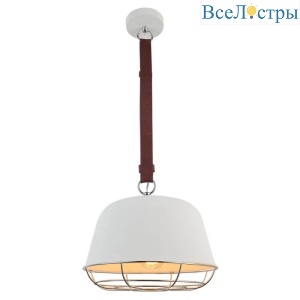 Подвесной светильник Lussole Loft GRLSP-8043
