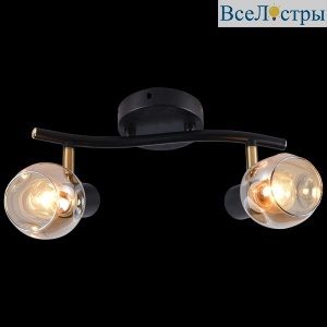 Спот Reluce 05961-0.8-02 BK+AB