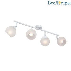 Спот Vitaluce V4313-0/4PL
