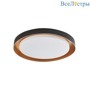 Потолочный светильник Arti Lampadari Vista L 1.13.48 B