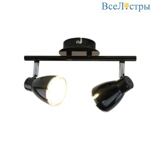 Светодиодный спот Arte Lamp Gioved A6008PL-2BK