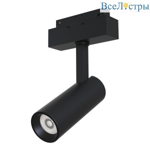 Светильник на штанге Maytoni Track lamps TR019-2-10W4K-B