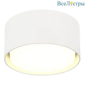Накладной светильник ST Luce ST164.502.01