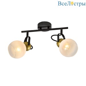 Спот IMEX SP.049-62-01
