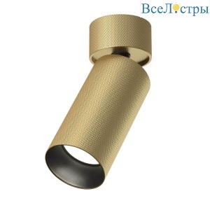Спот Maytoni Technical Artisan C082CL-01-GU10-MG