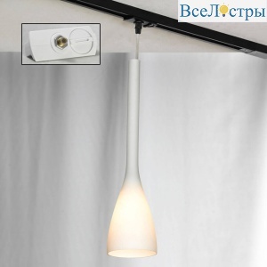 Трековый светильник однофазный Lussole Varmo Track Lights LSN-0106-01-TAW