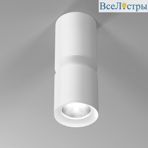 Потолочный светодиодный светильник Elektrostandard Kayo 25048/LED 12W 4000К белый a064727